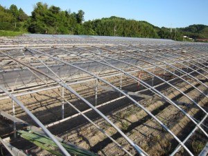 画像(300x225)・拡大画像(640x480)