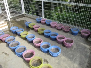 �摜(300x225)�E�g��摜(640x480)