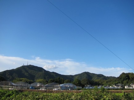 画像(435x326)・拡大画像(640x480)