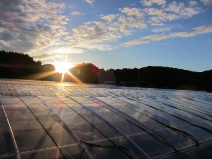 �摜(435x326)�E�g��摜(640x480)