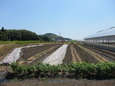 画像(435x326)・拡大画像(640x480)