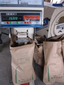 �摜(225x300)�E�g��摜(480x640)