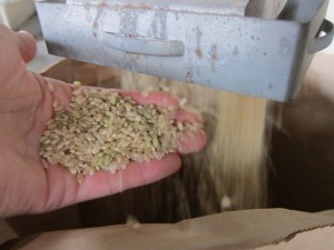 �摜(300x225)�E�g��摜(640x480)