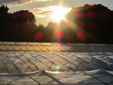 �摜(435x326)�E�g��摜(640x480)