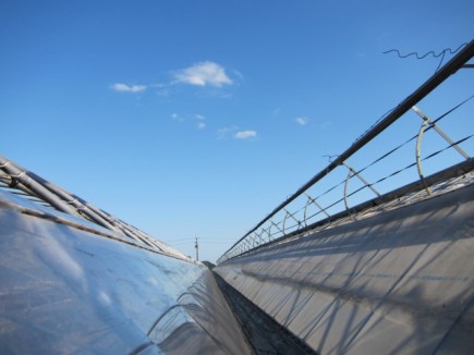 画像(435x326)・拡大画像(640x480)