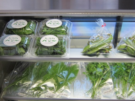 �摜(435x326)�E�g��摜(640x480)