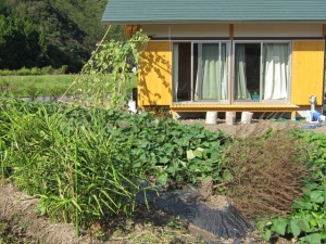 �摜(300x225)�E�g��摜(640x480)