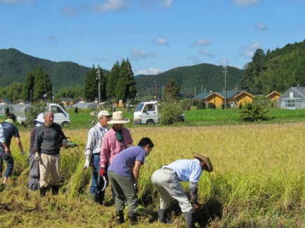 画像(435x326)・拡大画像(640x480)