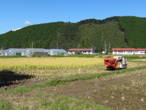 画像(300x225)・拡大画像(640x480)