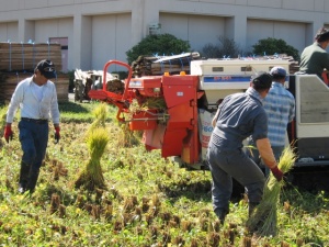 画像(300x225)・拡大画像(640x480)