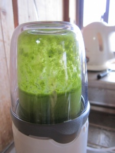 画像(225x300)・拡大画像(480x640)