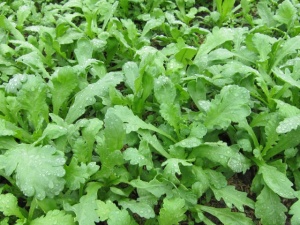 �摜(300x225)�E�g��摜(640x480)