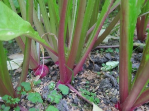 �摜(300x225)�E�g��摜(640x480)