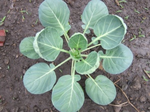 �摜(300x225)�E�g��摜(640x480)