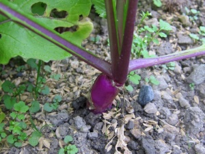 �摜(300x225)�E�g��摜(640x480)