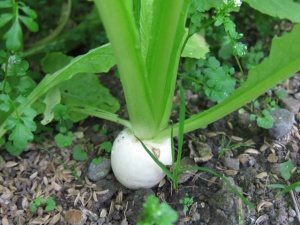 �摜(300x225)�E�g��摜(640x480)