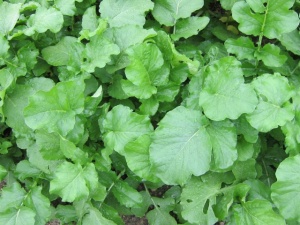 �摜(300x225)�E�g��摜(640x480)