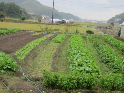 �摜(435x326)�E�g��摜(640x480)