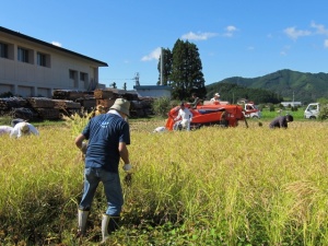 画像(300x225)・拡大画像(640x480)