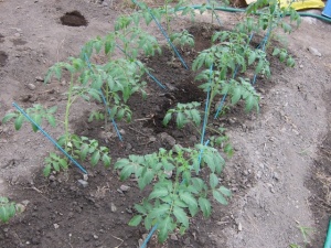 �摜(300x225)�E�g��摜(640x480)