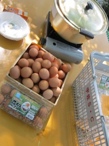 画像(225x300)・拡大画像(480x640)