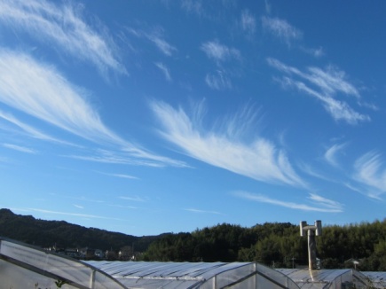 �摜(435x326)�E�g��摜(640x480)