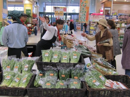 �摜(435x326)�E�g��摜(640x480)