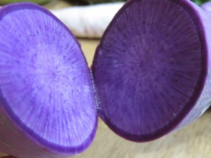 画像(300x225)・拡大画像(640x480)