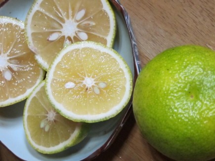 画像(435x326)・拡大画像(640x480)