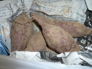 画像(300x225)・拡大画像(480x360)