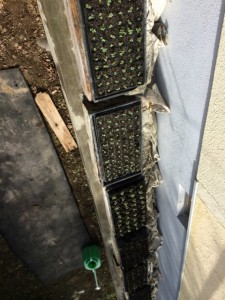 画像(225x300)・拡大画像(480x640)