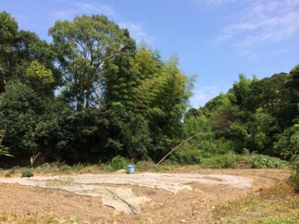 画像(435x326)・拡大画像(640x480)