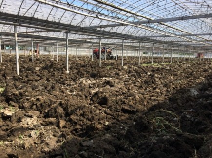 画像(435x326)・拡大画像(640x480)